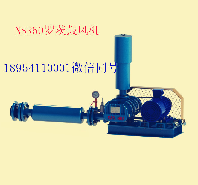 NSR50羅茨鼓風(fēng)機.jpg