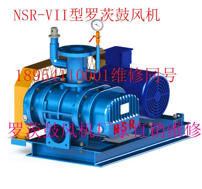 NSR-VII型羅茨鼓風(fēng)機(jī).jpg